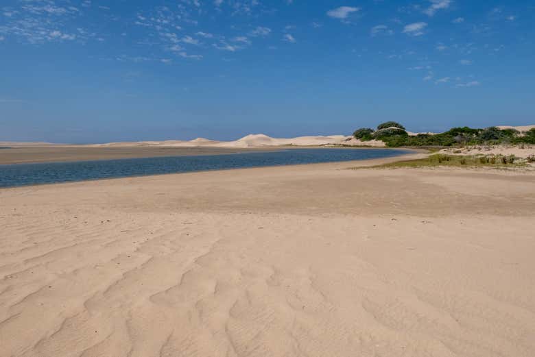 Vue sur les dunes