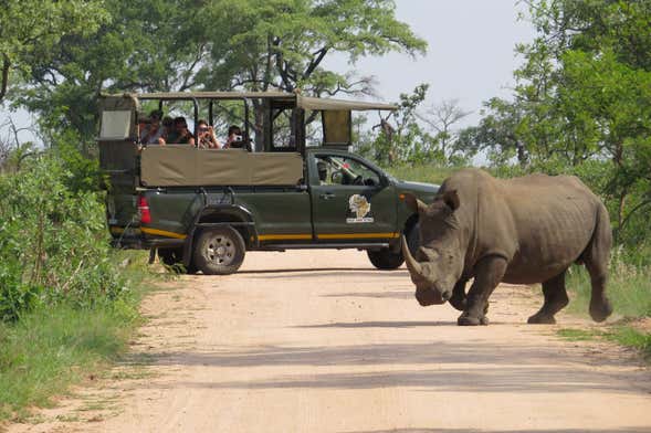 Safari de 4 días por el Parque Nacional Kruger