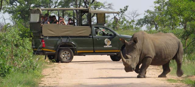 Safári de 4 dias pelo Parque Nacional Kruger
