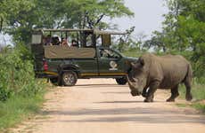 Kruger National Park 4-Day Safari