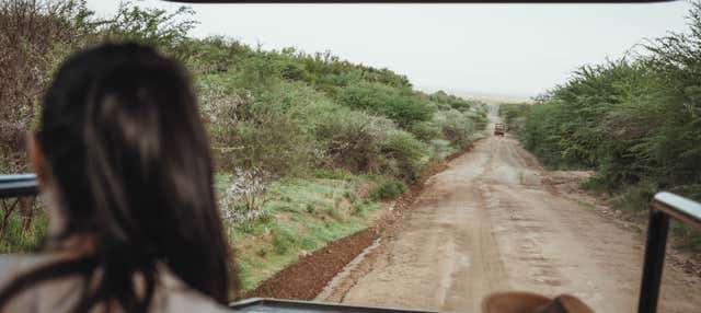 Safari por el Parque Pilanesberg