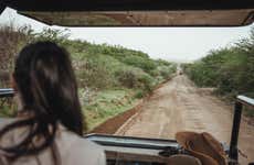 Safári pelo Parque Pilanesberg
