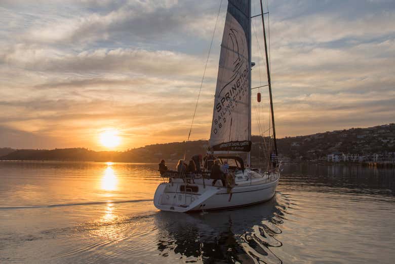 Profitez d'une traversée paisible à Knysna