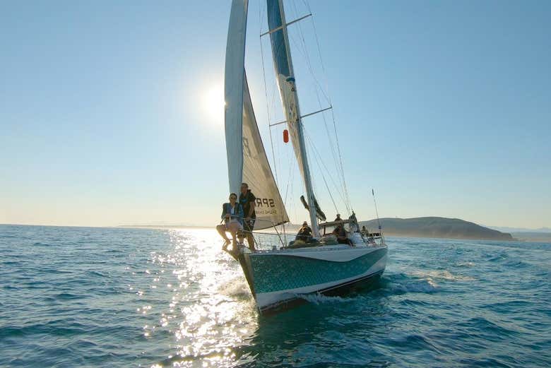 Voilier à Knysna