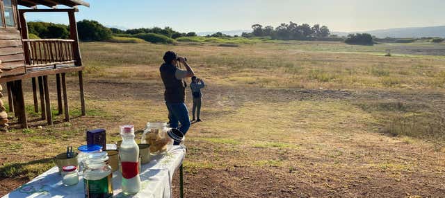 Bird Watching Oudtshoorn