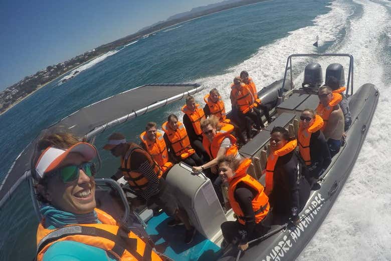 Profitez de l'activité à Plettenberg Bay