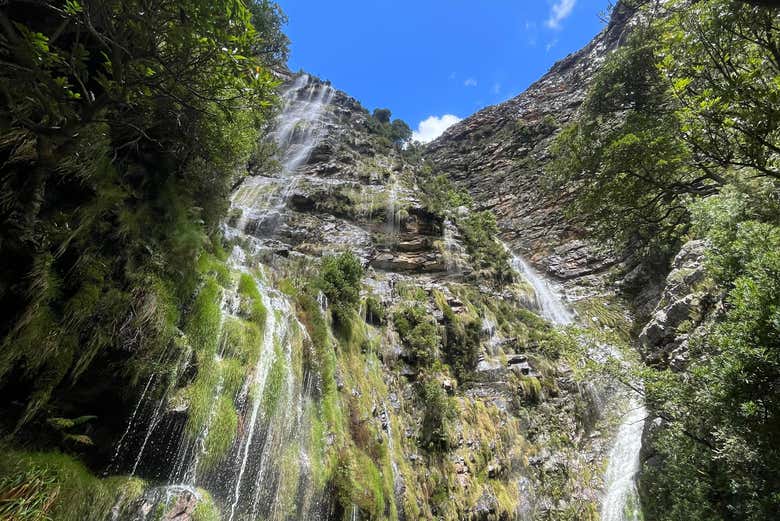 Admire the Jonkershoek Waterfall!