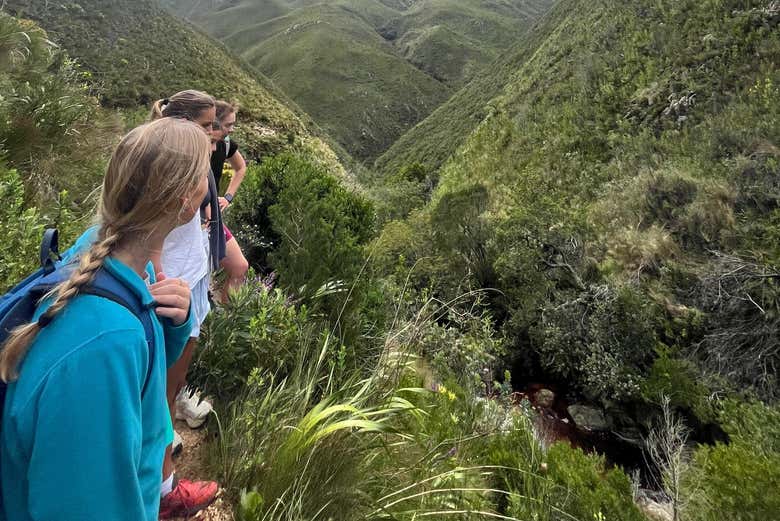 Take in the views of the valley