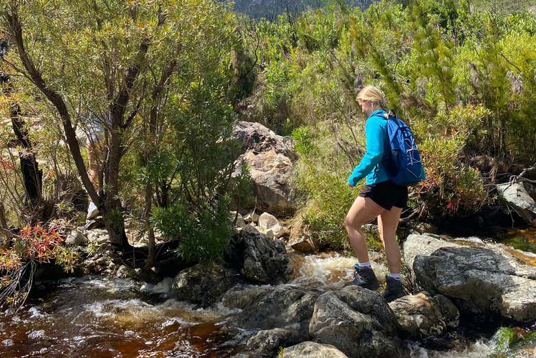 Hike through the Jonkershoek Nature Reserve