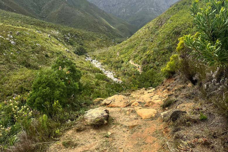 Explore the nature trails of Jonkershoek