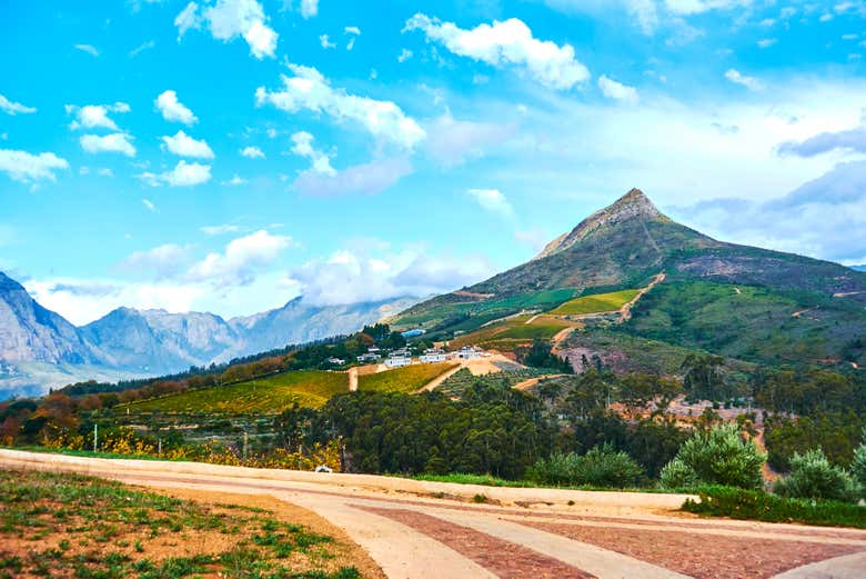 Profitez du paysage