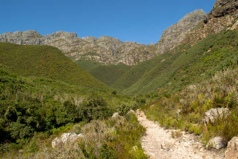 Spend a day in nature!