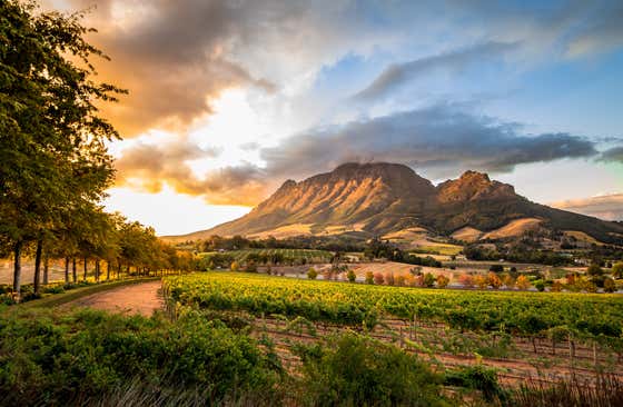 Stellenbosch