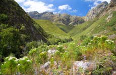 Jonkershoek Hike