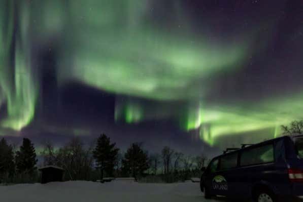 Percorrendo os bosques de Abisko sob a luz da aurora boreal