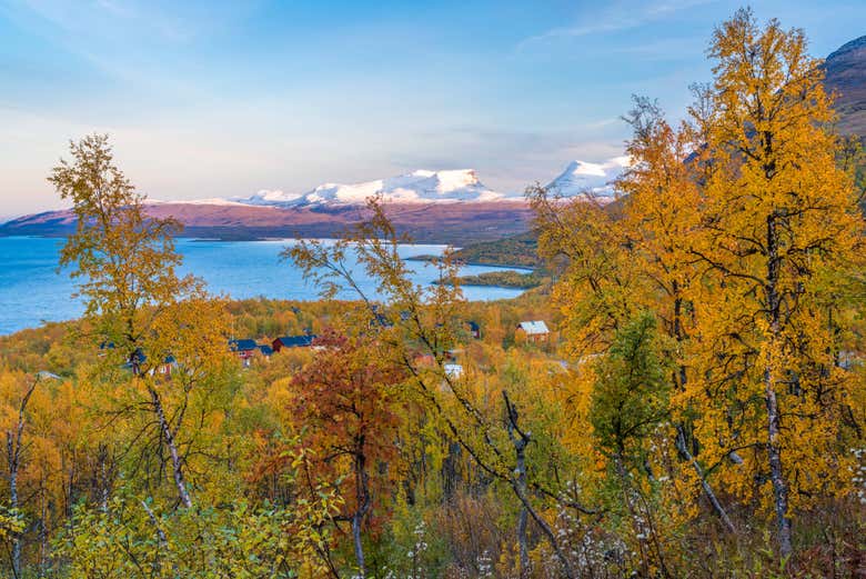 Abisko National Park