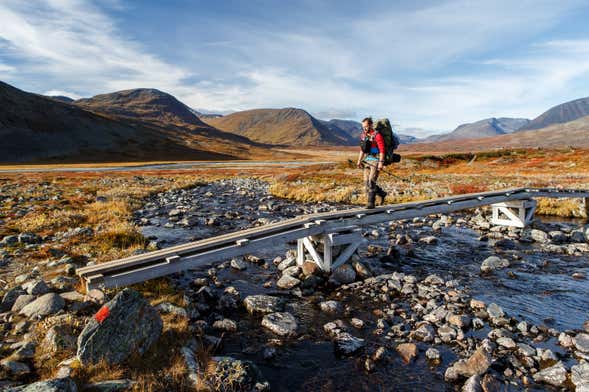 Abisko National Park Hiking Tour