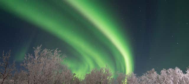 Visite à la découverte d’aurores boréales à Abisko