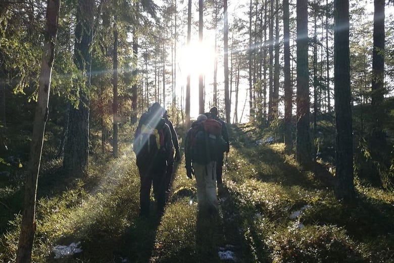 Explorando los bosques de Estocolmo