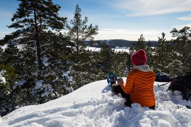Admirando os bosques suecos nevados