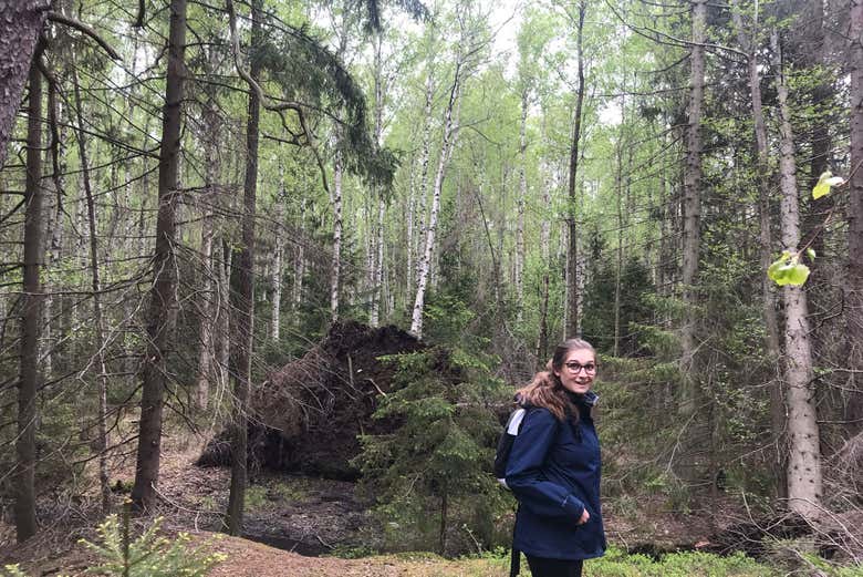 ¡Momento foto en los bosques de Estocolmo!