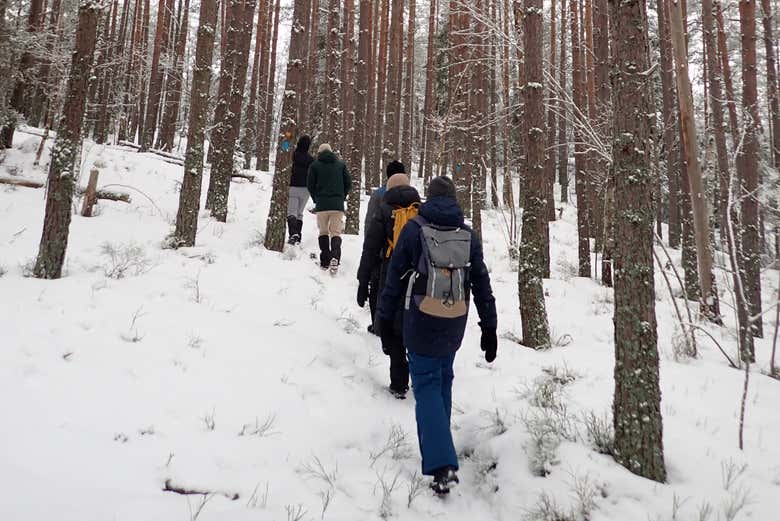 Recorred los senderos nevados de la Reserva de Bogesund