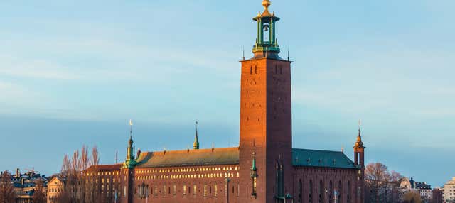 Tour por Gamla Stan + Museo Vasa