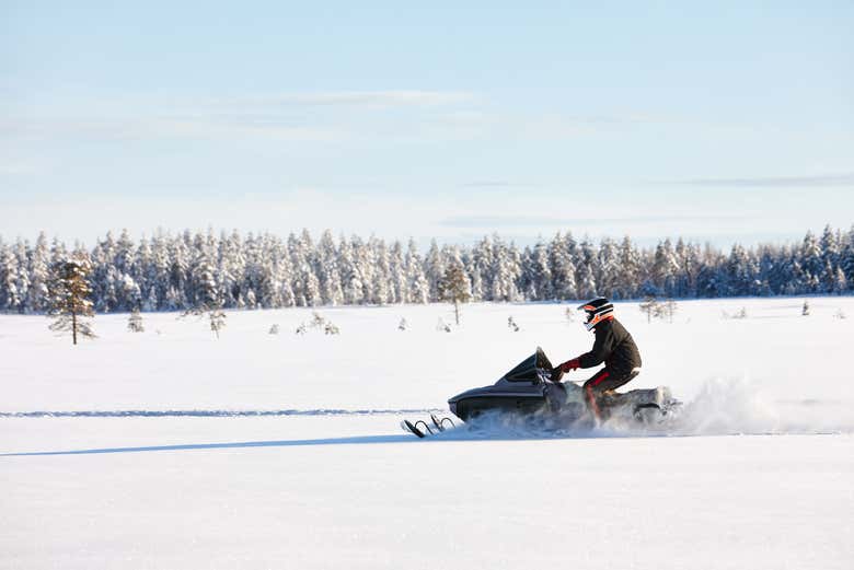 Motoneige dans les forêts de Kiruna