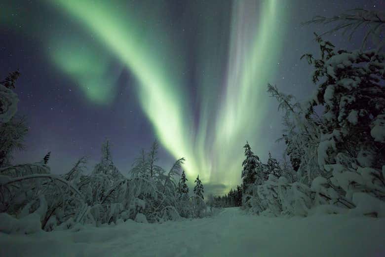 Le luci del nord