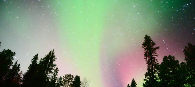 Visite à la découverte des aurores boréales à Kiruna