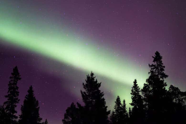 Pouvez-vous imaginer assister à ce phénomène incroyable ?