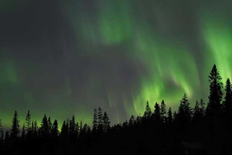 Las luces del norte 