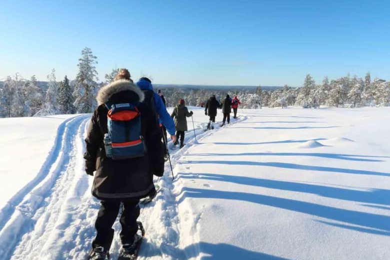 Caminando por senderos nevados