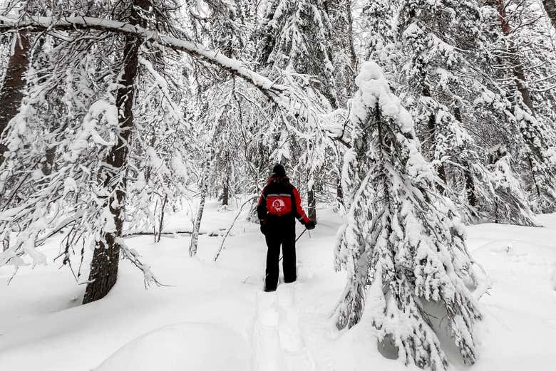 Atravesando un bosque nevado