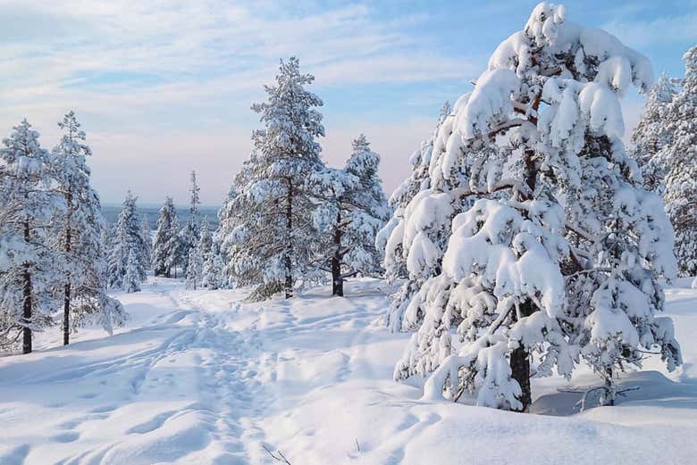 El hermoso paisaje de la Laponia sueca