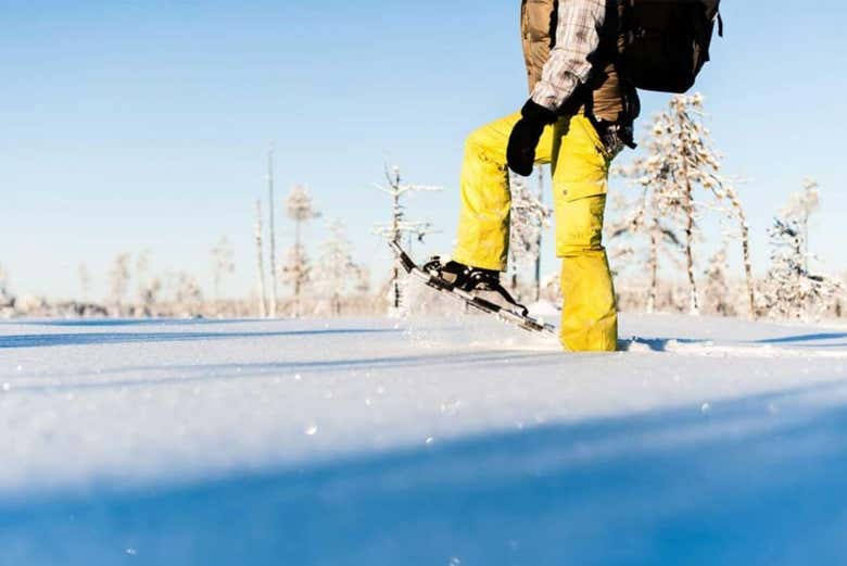 Descubriendo los encantos de Luleå con raquetas de nieve