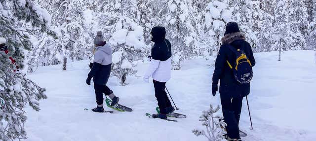 Luleå Snowshoeing Tour