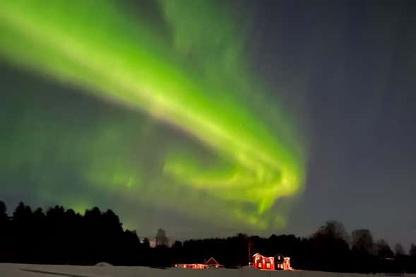 Luleå Northern Lights Tour