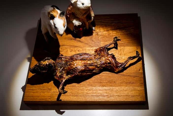 Um dos exemplos de comida nojenta no museu