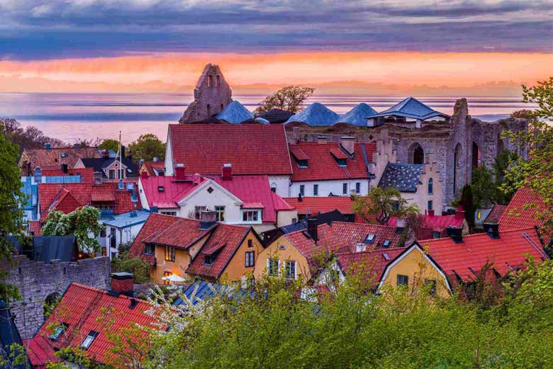 Visby Tourist Bus Book Online at