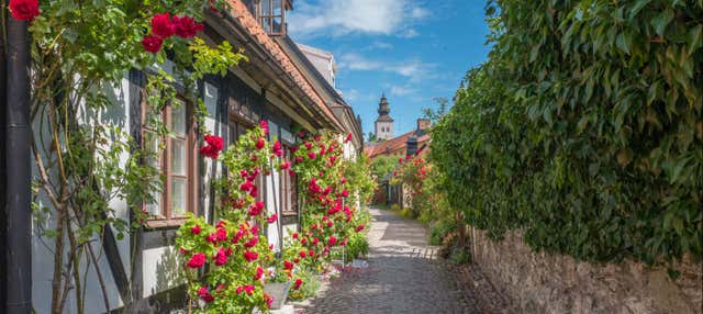 Tour por Visby para cruceros