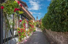 Tour por Visby para cruceros