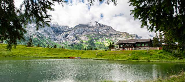 Excursión a Les Diablerets y Montreux