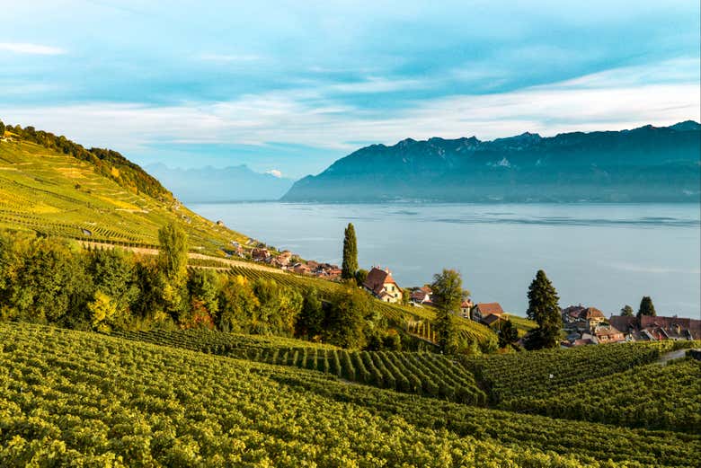 Paysage de Lavaux