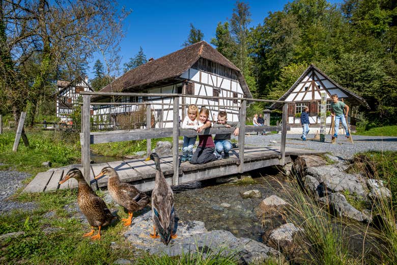 Veréis distintos animales de granja