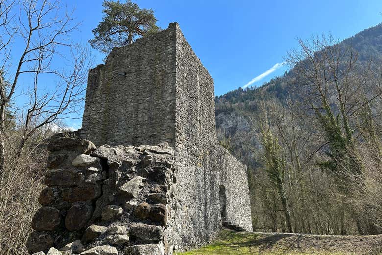 Pasando por las ruinas del castillo de Weissenau