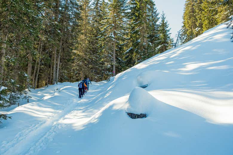 Disfrutando de un bello entorno natural
