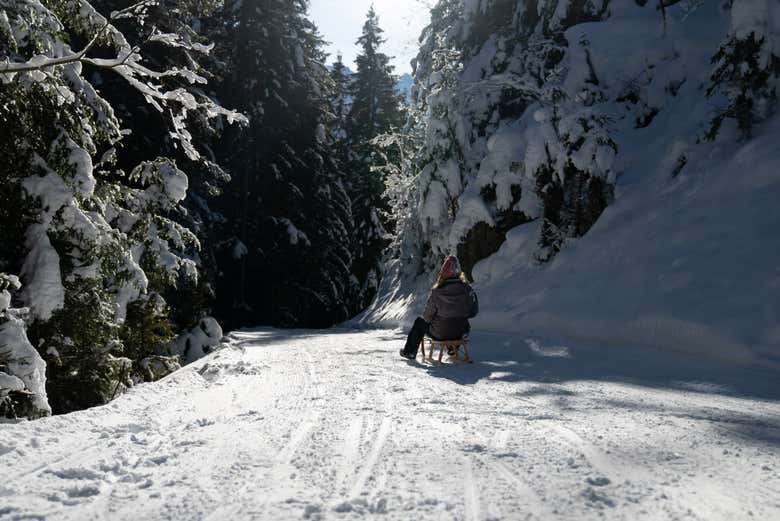 Disfrutando del paseo en trineo
