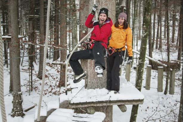 Diversão nas árvores do Adventure Park