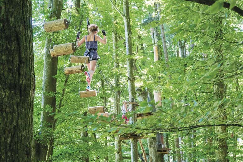 Obstáculos entre as árvores do Adventure Park